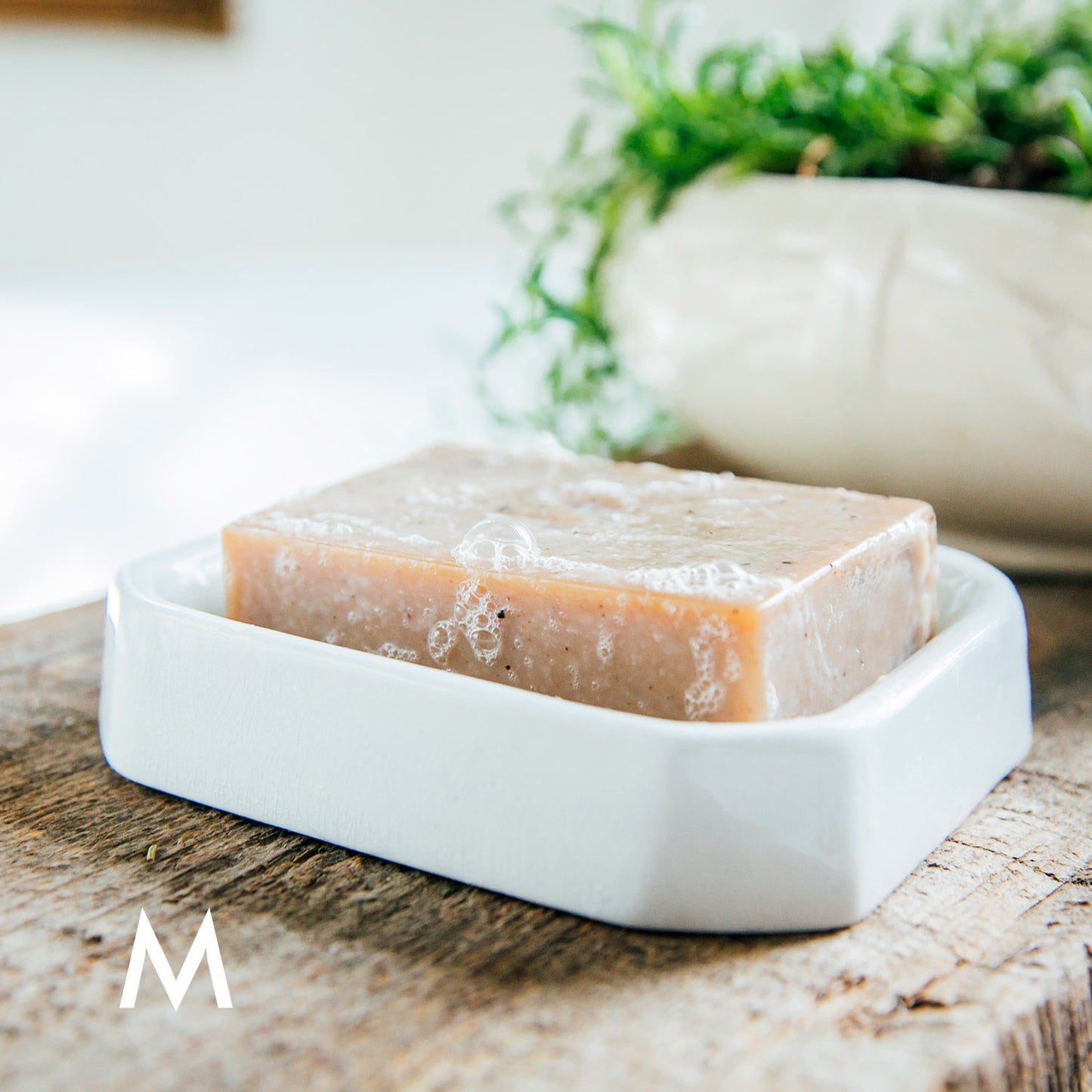 Men's Coffee Bean Soap Bar