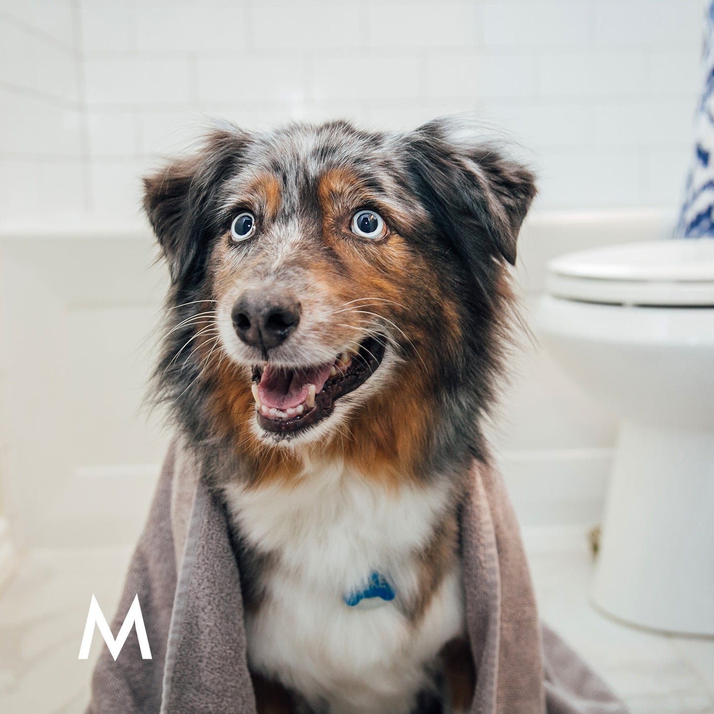 Itch Relief Pet Soap Bar